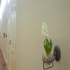 Отель Typical Lisbon Guest House спа