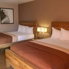 Thunderbird Hotel 2* Стандартный номер с различными типами кроватей фото 3