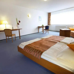 Centro Hotel Celler Tor 3* Стандартный номер с различными типами кроватей фото 9