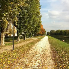 Отель Abitare a Padova Италия, Падуя - отзывы, цены и фото номеров - забронировать отель Abitare a Padova онлайн фото 11