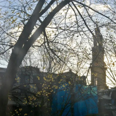 Отель Casa Luna Нидерланды, Амстердам - отзывы, цены и фото номеров - забронировать отель Casa Luna онлайн приотельная территория