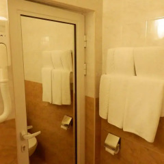 Roza Hotel 3* Стандартный номер фото 4