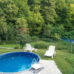 Отель Guest House Pepeliana Боженци бассейн