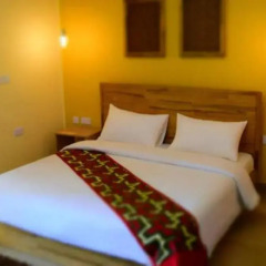 Roots Apartment Hotel комната для гостей фото 4