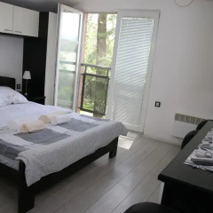 Апартаменты Madea Apartment Piknik Нови Сад комната для гостей