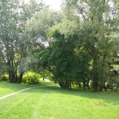 Отель Saska 2
