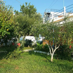 Yard Paradise Hotel спортивное сооружение