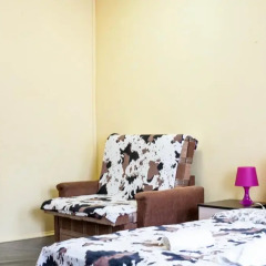 Hotel na Ligovskom 2* Стандартный номер с двуспальной кроватью фото 24
