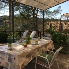 Отель Agriturismo Le Catre Кастаньето-Кардуччи питание