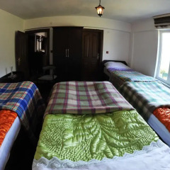 Отель Homestay Süllü Dağ Evi Гиресун комната для гостей фото 2
