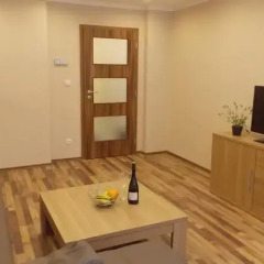 Отель Apartman Aleksandra Чехия, Карловы Вары - отзывы, цены и фото номеров - забронировать отель Apartman Aleksandra онлайн комната для гостей фото 2