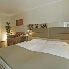 Hotel Haberstock 3* Стандартный номер с различными типами кроватей фото 11