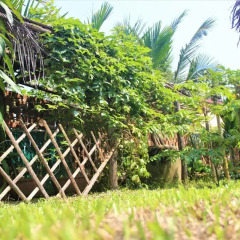 Отель Dragon Sea Homestay Хойан фото 2