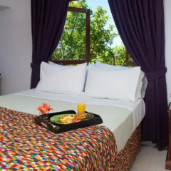 Отель Mynt Retreat Bed and Breakfast 3* Стандартный номер с различными типами кроватей фото 2