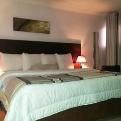 Presken Hotel and Resorts 3* Номер Делюкс с различными типами кроватей фото 2