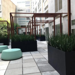 Отель Gym & Pool. Loft Condesa Neighborhood Мехико