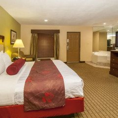 Отель Best Western Vicksburg Inn 2* Стандартный номер с различными типами кроватей фото 13