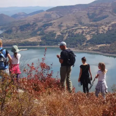 Отель Mihaela Lake Retreat Болгария, Карджали - отзывы, цены и фото номеров - забронировать отель Mihaela Lake Retreat онлайн приотельная территория фото 2