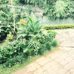 Hotel Sunny Lanka Канди приотельная территория