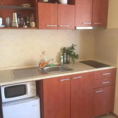 Апартаменты Palazzo Apartment Lew Солнечный берег в номере фото 2