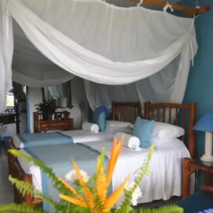 Hotel Mocking Bird Hill 4* Стандартный номер с различными типами кроватей фото 7