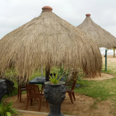 Отель Sasika Beach Resort Шри-Ланка, Берувела - отзывы, цены и фото номеров - забронировать отель Sasika Beach Resort онлайн фото 6
