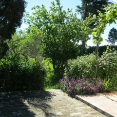 Отель B&B Cristina Италия, Порто Реканати - отзывы, цены и фото номеров - забронировать отель B&B Cristina онлайн приотельная территория