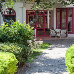 Отель Longozа Hotel - Все включено Болгария, Солнечный берег - отзывы, цены и фото номеров - забронировать отель Longozа Hotel - Все включено онлайн фото 4