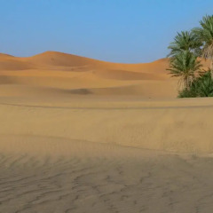 Отель Kasbah Tamariste Марокко, Мерзуга - отзывы, цены и фото номеров - забронировать отель Kasbah Tamariste онлайн