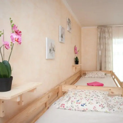 Europa Hostel Кровать в женском общем номере с двухъярусной кроватью