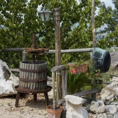 Отель Le Capanne di Villa Margherita Сперлонга фото 26
