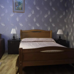 Family Hotel Mountain Scream Тбилиси комната для гостей фото 4
