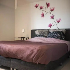 Отель B&B A Dream 4* Номер Делюкс с различными типами кроватей фото 23