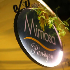 Отель Mimosa Pension Каш банкомат