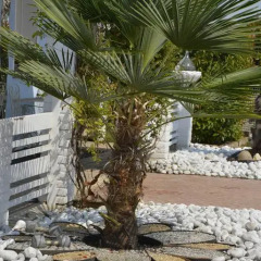 Отель DolceVita B&b Италия, Рубано - отзывы, цены и фото номеров - забронировать отель DolceVita B&b онлайн фото 5