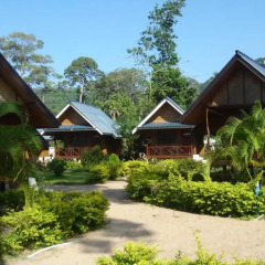 Отель Seashell Resort Koh Tao 3* Бунгало с различными типами кроватей фото 4