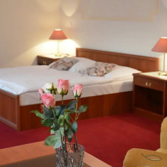 Отель Eurohotel Garni 3* Стандартный номер с различными типами кроватей фото 2