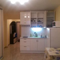 Апартаменты Lesnaya Apartment Студия фото 38