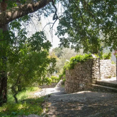 Отель Villa Pegea Вилла фото 5
