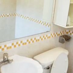 Отель Korea Central Backpackers Южная Корея, Сеул - отзывы, цены и фото номеров - забронировать отель Korea Central Backpackers онлайн ванная