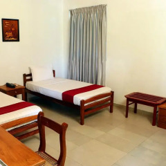 Roy Villa Beach Hotel комната для гостей фото 2