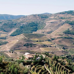 Отель Rural Quinta Do Silval Алижо