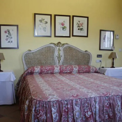 Отель Cortijo Sierra y Lago в номере