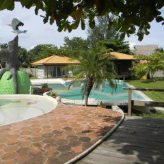 Hotel La Casa de Nery Луизиана Ceiba бассейн