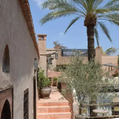 Отель Riad Palmier Марокко, Марракеш - отзывы, цены и фото номеров - забронировать отель Riad Palmier онлайн фото 15