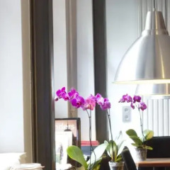 Отель Guesthouse Bxlroom удобства в номере