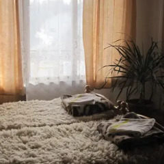 Отель Semerdzhievi Guest Rooms Болгария, Банско - отзывы, цены и фото номеров - забронировать отель Semerdzhievi Guest Rooms онлайн спа