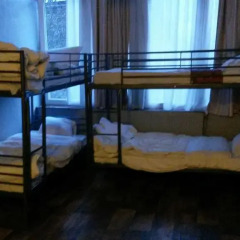 Отель B&B Botanique Кровать в общем номере