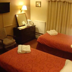The Patten Arms Hotel 3* Стандартный номер с 2 отдельными кроватями фото 4