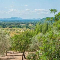 Отель Sini